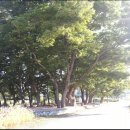 새방골산방 이미지