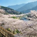 CU성남신촌점 이미지