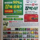 경성제약장박사 - 유성구 도룡동 | 경성제약장박사