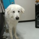 문수동물병원 이미지