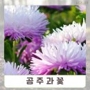 공주과일
