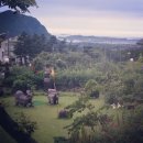 라이온힐펜션 이미지