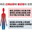 뉴비스 이미지