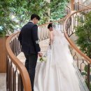 웨딩팰리스 | 의정부 웨딩팰리스 본식스냅 후기/솔튜디오(작가솔)