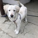 정왕지구대 이미지