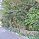 신흥2리경로당 이미지