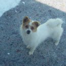 고병기동물병원 이미지