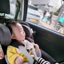 (주)이마트 마포점 이미지