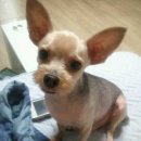 신림초등학교 이미지