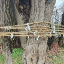 하촌할머니 이미지