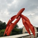 뮤지엄 산(청조갤러리) | 원주 뮤지엄산 라스트 제임스 터렐 프로그램 후기ㅣ내돈내산 강원도 원주 당일치기 코스 추천ㅣ원주...