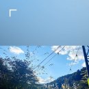 자연에 머물다 이미지