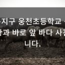 웅천초등학교 앞 이미지