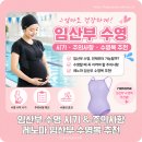 레노마수영복 - 전주시 완산구 전주객사5길 81 | 임산부 수영 시기, 주의사항, 레노마 임산부 수영복 추천