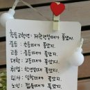 대한노인회강남지회 이미지