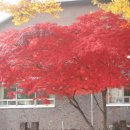 용골횟집 이미지