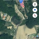 보광1리 이미지