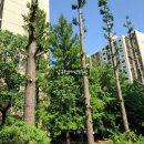 압구정케빈부동산중개법인주식회사 이미지