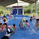 바다의별유치원 이미지