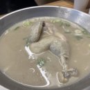 언양닭칼국수 이미지