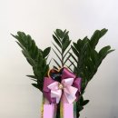 양덕동486 이미지