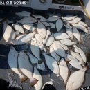 루어낚시닷컴 이미지