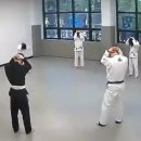 신동주짓수
