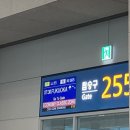 도기트래블말랑맨션 | 여름의 후쿠오카 여행기