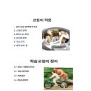 자기주도 학습코칭 이미지