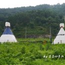 석정할인마트 이미지