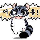 브이아이피플러스 이미지