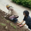 구천농장 이미지