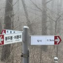 남부 탑사 화장실 네이버블로그