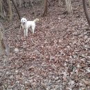 두륜산관광펜션 이미지