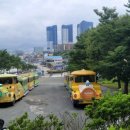 다누비 열차 이미지