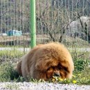 금수농장 이미지