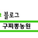 영동약초 건강원