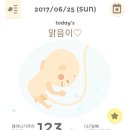 보동이네 이미지