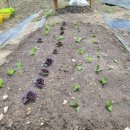 사회적협동조합행복림 이미지