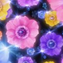 꽃이미지-Ⅰ 이미지