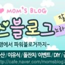 콩다방 이미지