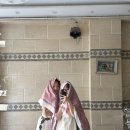 행복을파는장사꾼 | 이집트 자유여행 기자 피라미드 스핑크스 인생샷 명당 후기, 스핑크스 참이슬 사진 찍기