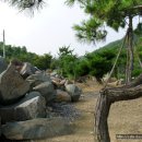 평촌낚시터 이미지