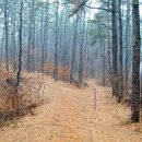 여강길(10코스 천년도자길) 이미지