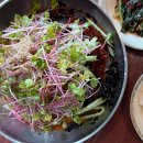 국수나무 진천점 | 진천] 내돈내산 진천 맛집 원조중원탑막국수 진천이월점 솔직 후기 | 어르신들로 가득 찬 농다리 이팝...