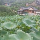 실덕경로당 이미지