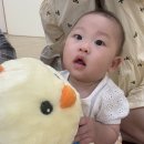 이마트 포항점 | 이마트 문화센터 포항점 ‘날아라병아리’ 여름학기 수업 후기🐥