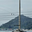 선유 손칼국수 | 군산모녀의하루 | 선유도 유람선, 짚라인체험 당일치기 군산여행