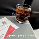 아메리칸항공 비지니스석 캐나다 토론토에서 미국 워싱턴 D.C. 로널드 레이건 공항 탑승 후기