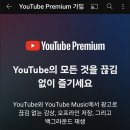 좀 심한거 같다는 유튜브 낚시 이미지